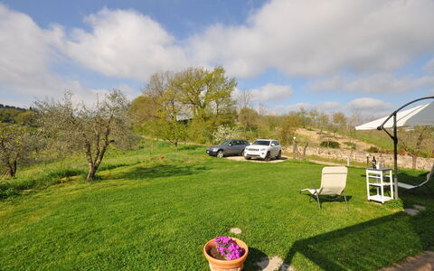 Capannino: Herbe, Propriété, Pelouse, Lot Terre, Arbre, Prairie, Printemps, Jardin, Cour, Maison