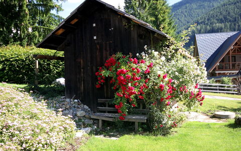 Schwalbennest: Plante, Fleur, Ciel, Propriété, Bâtiment, Arbre, Paysage Naturel, Maison, Lot Terre, Chalet
