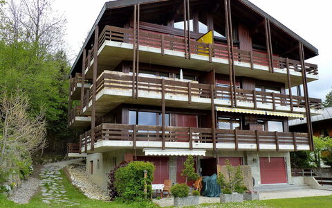 Ovronnaz 119: Plante, Ciel, Bâtiment, Fenêtre, Arbre, Lot Terre, Maison, Design Urbain, Zone Résidentielle, Bois