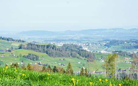 Panoramablick: Ciel, Fleur, Plante, Communauté Des Plantes, Écorégion, Montagne, Paysage Naturel, Lot Terre, Végétation