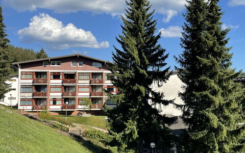 Schöne Aussicht (App 1406 Ex-Kurhotel): Nuage, Ciel, Plante, Bâtiment, Fenêtre, Paysage Naturel, Mélèze, Arbre, Végétation, Lot Terre