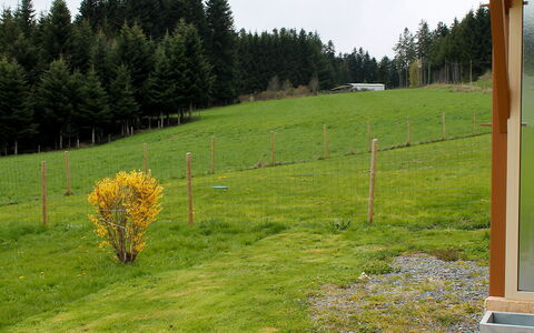 Le Clos des Sapins: Herbe, Lot Terre, Prairie, Famille Grass, Arbre, Pâturage, Plante, Pelouse, Prairie, Jardin