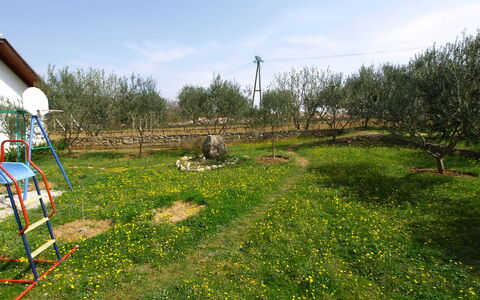 Villa Ana: Lot Terre, Herbe, Paysage Naturel, Prairie, Jardin, Réserve Naturelle, Pâturage, Prairie, Cour, Pelouse