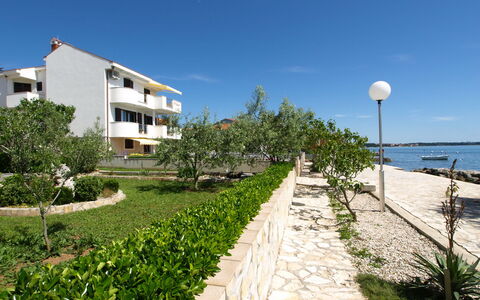 Zadar 136: Ciel, Plante, Bâtiment, Propriété, Fenêtre, Arbre, Éclairage Public, Végétation, Arecales, Nuage