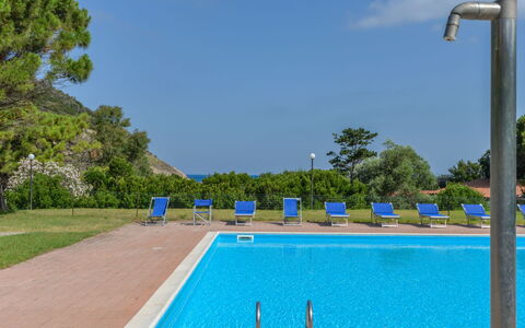 Nisporto 100: Ciel, L'Eau, Plante, Piscine, Nuage, Bleu Azur, Arbre, Rectangle, Ombre, Herbe