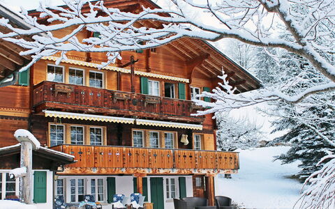 Chalet Jrene: Bâtiment, Ciel, Neige, Fenêtre, Arbre, Monde, Brindille, Maison, Zone Résidentielle, Gelé