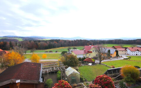Eisele: Paysage, Zone Rurale, Maison, Plaine, Lot Terre, Champ, Village, Chalet, Ferme, Aménagement Paysager
