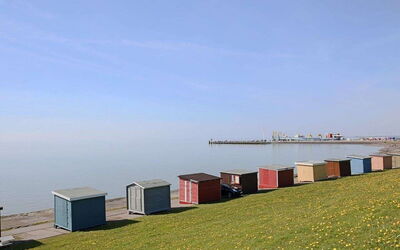 Logement:&nbsp;Herzmuschel 100.8