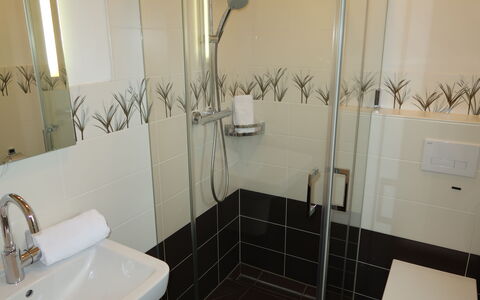 Dagebüll 200: Luminaire Plomberie, Propriété, Évier, Miroir, Robinet, Salle De Bains, Douche, Porte De Douche, Tete De Douche