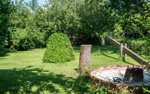 Krause: Arbre, Vert, Arbuste, Jardin, Communauté Des Plantes, Couverture De Sol, Pelouse, Tronc