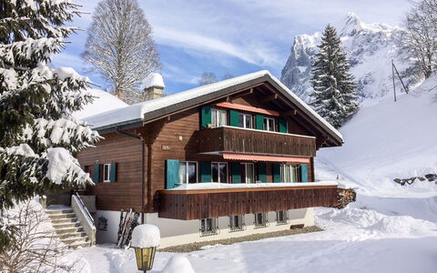 Grindelwald 322: Nuage, Ciel, Neige, Bâtiment, Plante, Fenêtre, Arbre, Maison, Pente, Mélèze