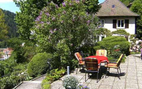Triberg 100: Plante, Bâtiment, Fleur, Pot De Fleur, Fenêtre, Chaise, Ciel, Arbre, Maison, Arbuste