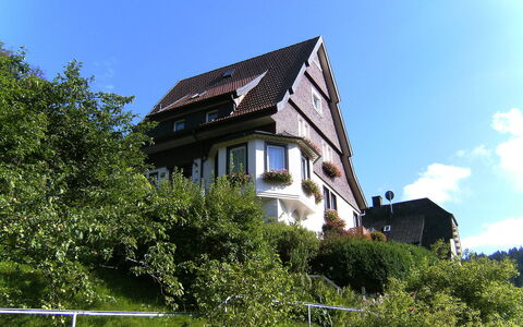 Triberg 100: Ciel, Bâtiment, Propriété, Plante, Nuage, Fenêtre, Maison, Végétation, Herbe, Paysage Naturel