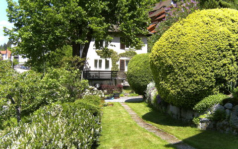 Triberg 100: Plante, Propriété, Communauté Des Plantes, Bâtiment, Feuille, La Nature, Paysage Naturel, Arbre, Fenêtre, Botanique