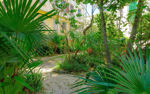Silvia: Plante, Communauté Des Plantes, Botanique, Feuille, Arbre, Terrestre Des Plantes, Arecales, Végétation, Biome, Paysage Naturel