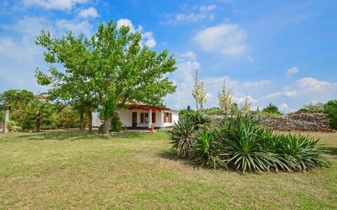 Ledi: Nuage, Ciel, Plante, Paysage Naturel, Arbre, Lot Terre, Maison, Herbe, Prairie, Plaine