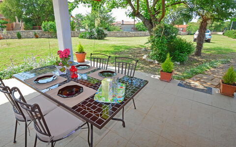 Ledi: Plante, Table, Meubles, Pot De Fleur, Vaisselle, Tableau De Plein Air, Arbre, Vert, Chaise, Plante D'Appartement