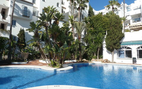 Benalmádena Costa 121: Piscine, Propriété, Recours, Bâtiment, Immobilier, Appartement, Ville, Vacances, Maison, Palmier