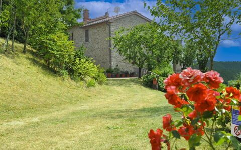 Casetta i Ciliegi: Jardin, Chalet, Ferme, Ombre, Aménagement Paysager, Biens, Cour, Arrière-Cour, Mur De Pierre, Hacienda