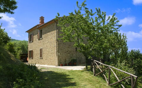 Casetta i Ciliegi: Jardin, Chalet, Ferme, Ombre, Aménagement Paysager, Biens, Cour, Arrière-Cour, Mur De Pierre, Hacienda