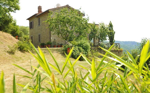 Casetta i Ciliegi: Plante, Ciel, Communauté Des Plantes, Bâtiment, Fenêtre, Arbre, Paysage Naturel, Lot Terre, Végétation, Maison