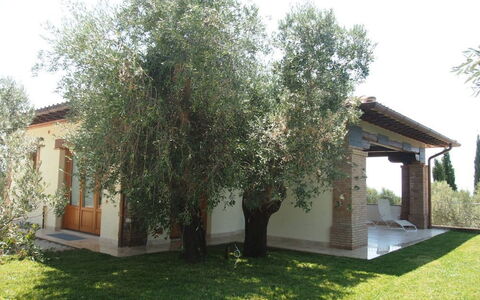 Villa Dei Cipressi: Propriété, Arbre, Maison, Domicile, Immobilier, Bâtiment, Herbe, Cour, Suppression Des Plantes Ligneuses, Plante