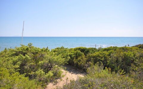 Casamare: Végétation, Mer, Rive, Côte, Environnement Naturel, Plage, Océan, Formations Arbustives, Ciel, Communauté Des Plantes