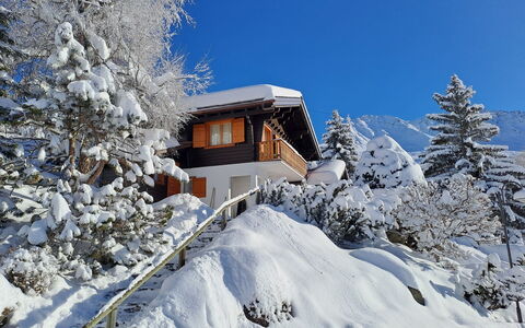 Biquinou: Ciel, Bâtiment, Neige, Plante, Fenêtre, Branche, Pente, Maison, Arbre, Mélèze