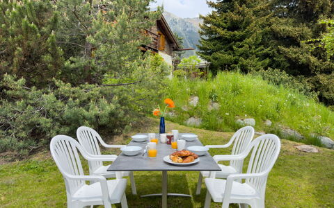 Biquinou: Table, Plante, Meubles, Propriété, Vaisselle, Chaise, La Nature, Feuille, Botanique, Paysage Naturel