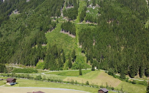 Neustift im Stubaital 410: Plante, La Nature, Paysage Naturel, Arbre, Montagnes, Pente, Lot Terre, Montagne, Biome, Mélèze
