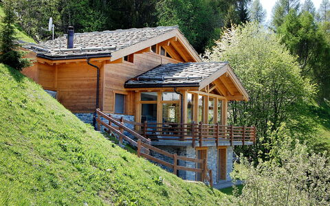 Chalet Arvine: Propriété, Bâtiment, Plante, Fenêtre, Maison, Paysage Naturel, Arbre, Bois, Chalet, Pente