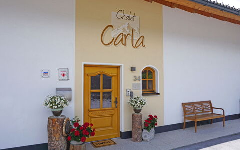 Carla: Plante, Fleur, Bâtiment, Propriété, Pot De Fleur, Plante D'Appartement, Fenêtre, Maison, Mur, Sol