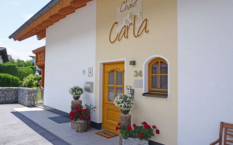 Carla: Plante, Fleur, Propriété, Bâtiment, Pot De Fleur, Plante D'Appartement, Mur, Maison, Ciel, Sol