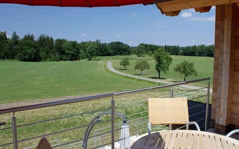 Lärche: Plante, Propriété, Ciel, Vert, Arbre, Environnement Naturel, Clôture, Chaise, Ombre, Bâtiment