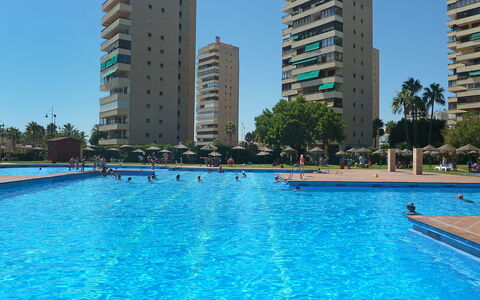 Playamar: L'Eau, Bâtiment, Ciel, Propriété, Jour, Skyscraper, Plante, Piscine, Bleu, Arbre