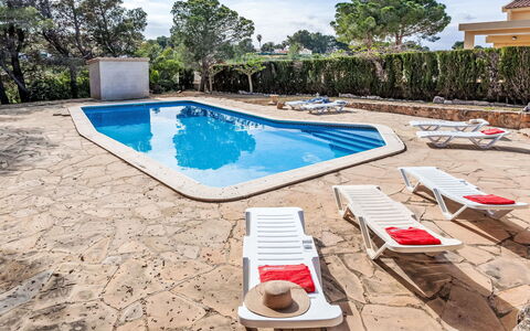 Africa: L'Eau, Plante, Jour, Propriété, Bâtiment, Piscine, Bleu Azur, Arbre, Ciel, Architecture