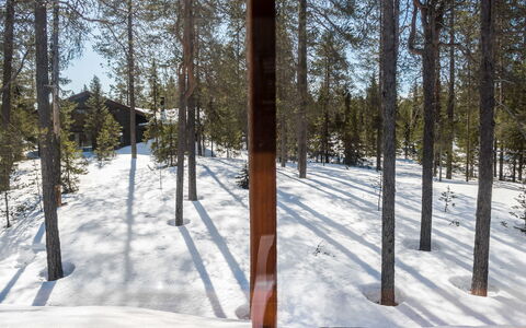 Katajarinne B: Neige, Bois, L'Hiver, Chalet, Maison, Toit, Domicile, Gelé, Cabane En Rondins, Brindille