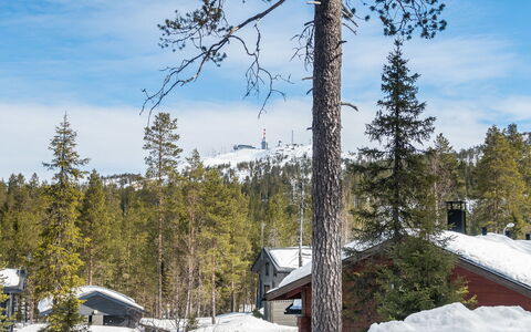 Katajarinne B: Neige, Bois, L'Hiver, Chalet, Maison, Toit, Domicile, Gelé, Cabane En Rondins, Brindille