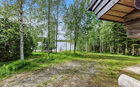 Hallan Kelo: Arbre, La Nature, Bois, Paysage Naturel, Paysage, Lot Terre, Communauté Des Plantes, Forêt, Des Bois