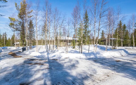 Mustalampi 5 Satakieli: Bleu, Branche, L'Hiver, Bois, Neige, Gelé, Forêt, Brindille, Mélèze
