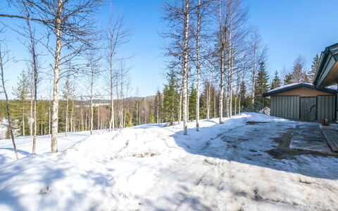 Mustalampi 5 Satakieli: Branche, Arbre, Bois, L'Hiver, Neige, Brindille, Gelé, Tronc, Mélèze