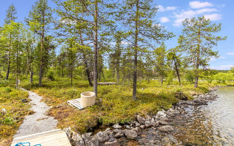 Villa Goskanjavri: Vert, Environnement Naturel, La Nature, Végétation, Paysage Naturel, Banque, Communauté Des Plantes, Région Sauvage, Forêt