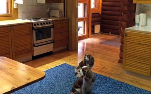 Sokeelampi: Herbe, Maison, Chalet, Lot Terre, Domicile, Biens, Pelouse, Siding, Ferme, Porche
