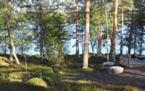 Louhiranta: Arbre, Banque, Maison, Chalet, Lac, Étang, Forêt, Cabane En Rondins