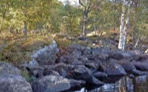 Louhiranta: Arbre, Banque, Maison, Chalet, Lac, Étang, Forêt, Cabane En Rondins
