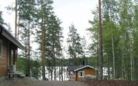 Louhiranta: Arbre, Banque, Maison, Chalet, Lac, Étang, Forêt, Cabane En Rondins