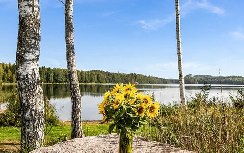 Myllymökki: Voie Navigable, Banque, Cours D'Eau, Lac, Chalet, Forêt, Canal, Réservoir, Cabane En Rondins