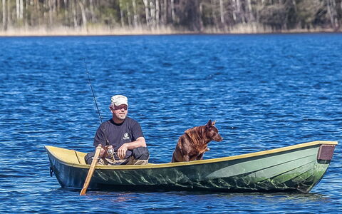 Myllymökki: Voie Navigable, Banque, Cours D'Eau, Lac, Chalet, Forêt, Canal, Réservoir, Cabane En Rondins