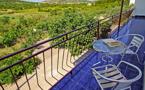 Marija: Ciel, Plante, Propriété, Vert, La Nature, Mobilier De Jardin, Clôture, Herbe, Paysage Naturel, Loisir