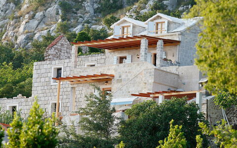 Juraj: Plante, Bâtiment, Fenêtre, Maison, Arbre, Végétation, Paysage Naturel, Biome, Immobilier, Zone Rurale
